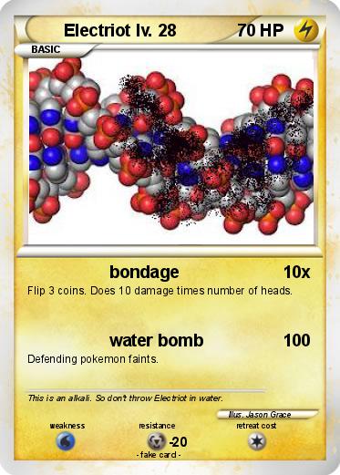 Pokemon Electriot lv. 28