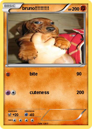 Pokemon bruno!!!!!!!!!!