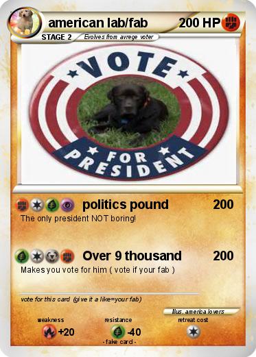 Pokemon american lab/fab Pokemon american lab/fab