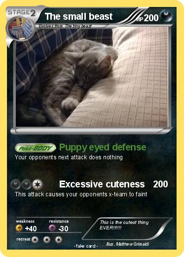 Pokemon The small beast