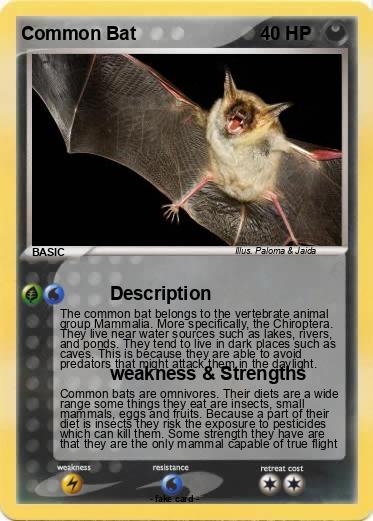 Pokemon Common Bat