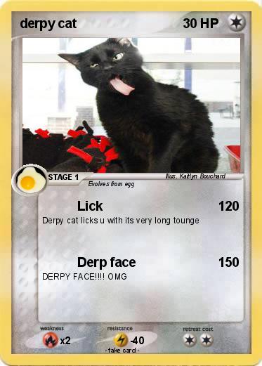 Pokemon derpy cat