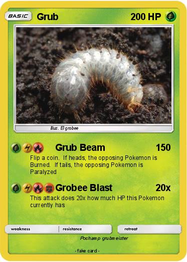 Pokemon Grub