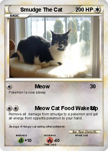 Pokemon Smudge The Cat