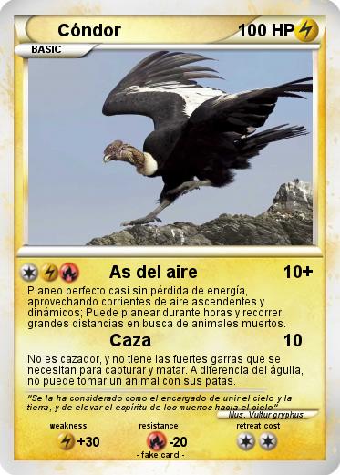 Pokemon Cóndor