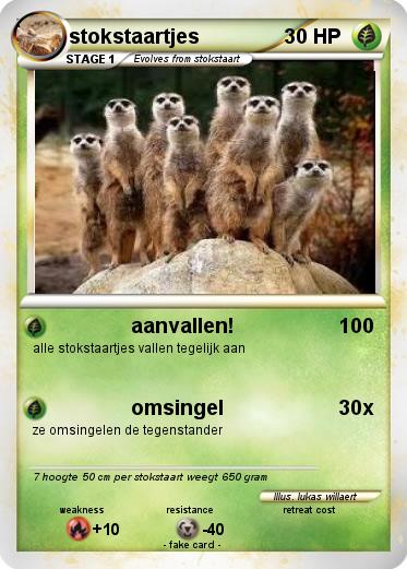 Pokemon stokstaartjes