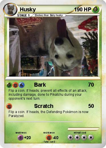 Pokemon Husky
