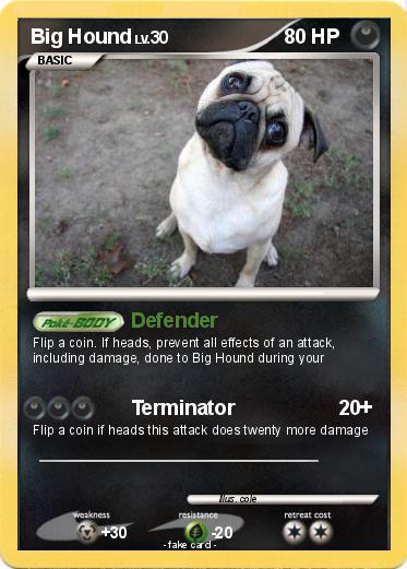 Pokemon Big Hound