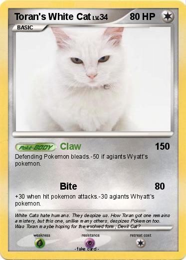 Pokemon Toran's White Cat