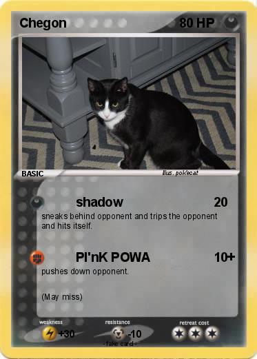 Pokemon Chegon