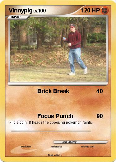 Pokemon Vinnypig