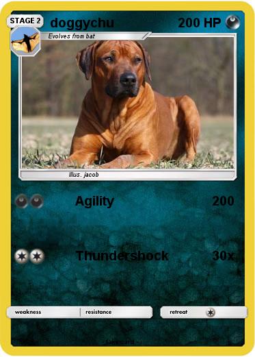 Pokemon doggychu