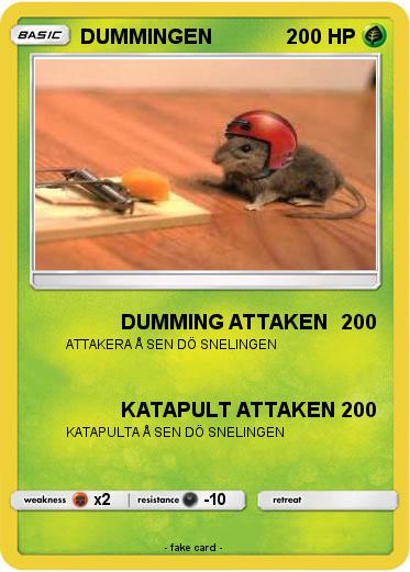 Pokemon DUMMINGEN