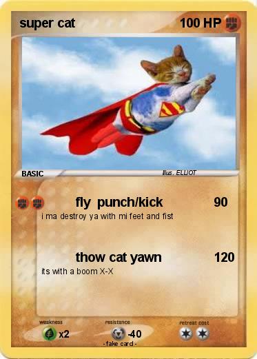 Pokemon super cat