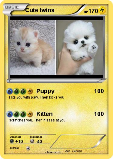 Pokemon Cute twins