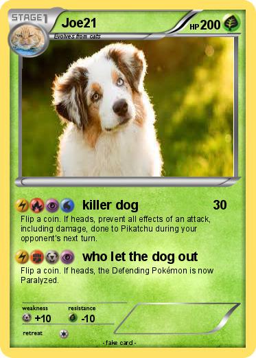 Pokemon Joe21
