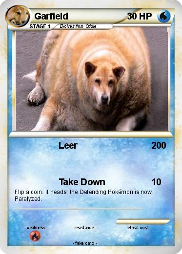 Pokemon Garfield