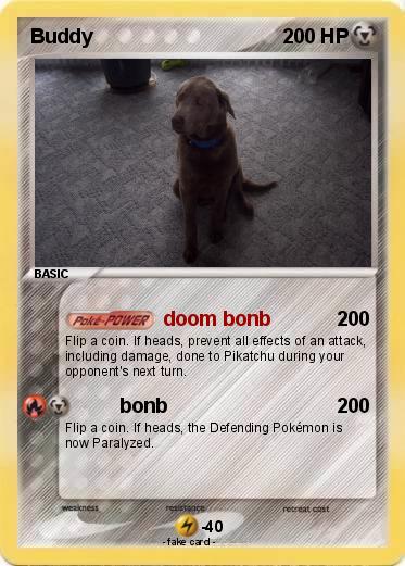 Pokemon Buddy