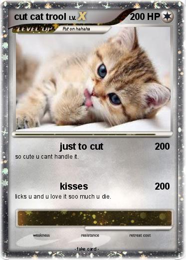 Pokemon cut cat trool