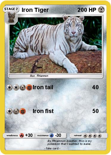Pokemon Iron Tiger