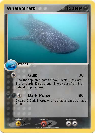 Pokemon Whale Shark