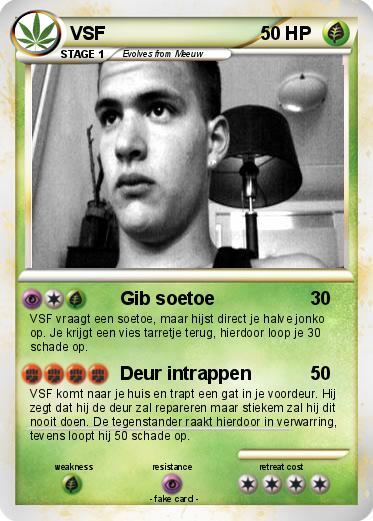 Pokemon VSF