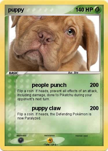 Pokemon puppy