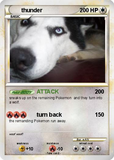 Pokemon thunder