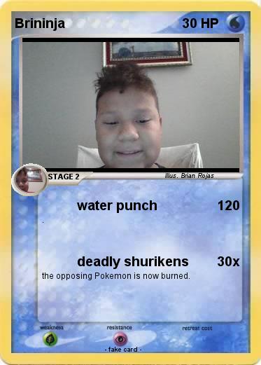 Pokemon Brininja