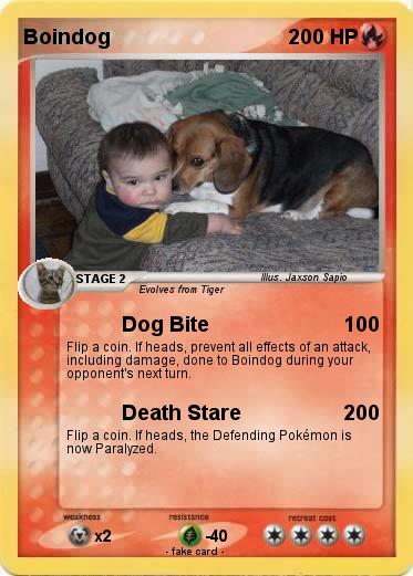 Pokemon Boindog