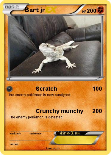 Pokemon Bart jr