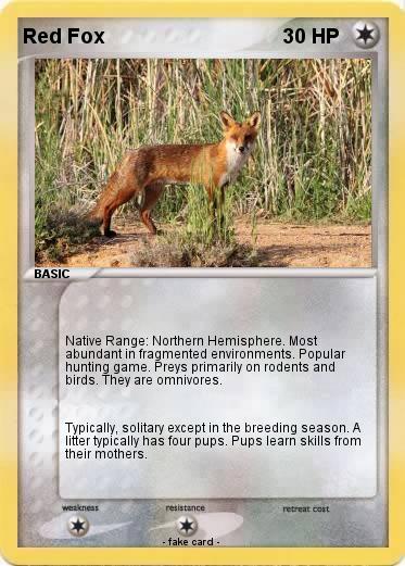 Pokemon Red Fox