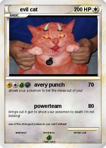Pokemon evil cat