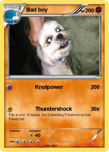 Pokemon Bad boy