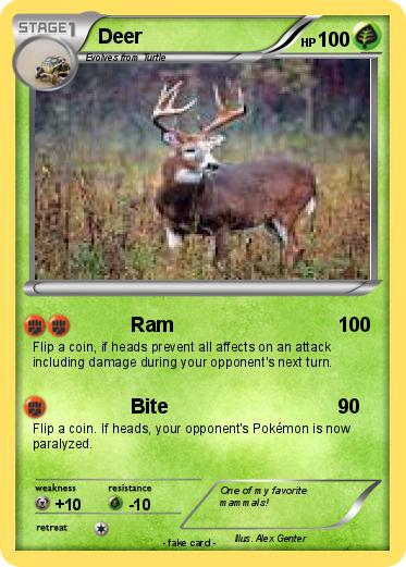 Pokemon Deer