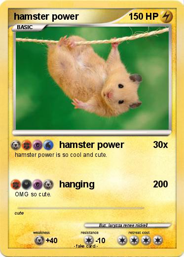 Pokemon hamster power
