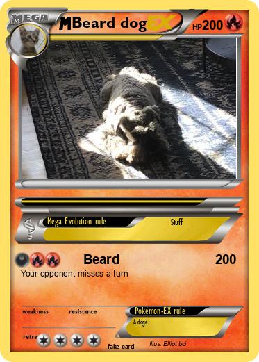 Pokemon Beard dog