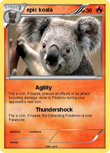 Pokemon epic koala