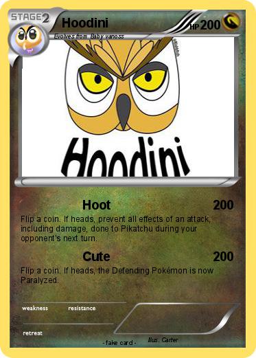 Pokemon Hoodini