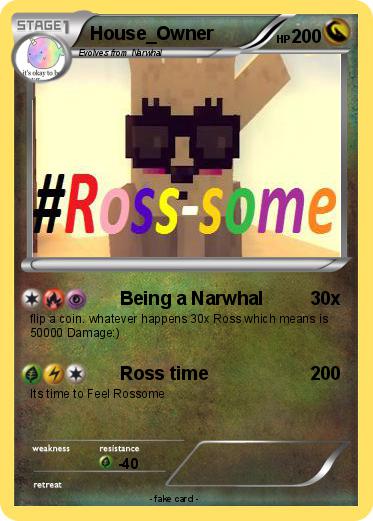 Pokemon House_Owner