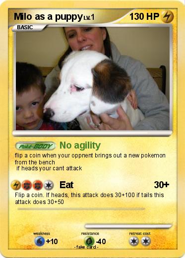Pokemon Milo as a puppy