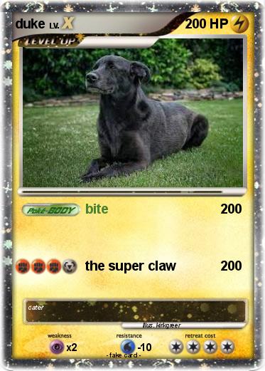 Pokemon duke