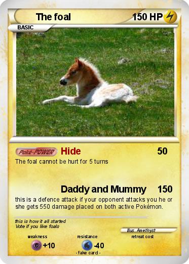 Pokemon The foal