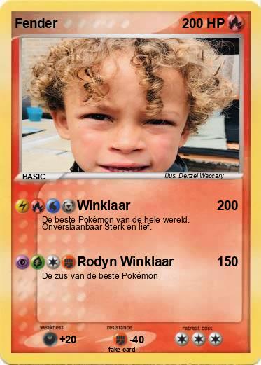 Pokemon Fender