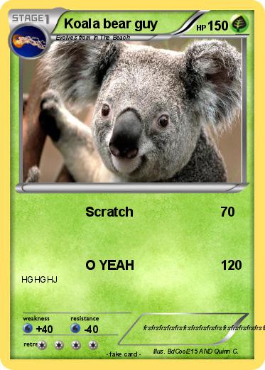 Pokemon Koala bear guy