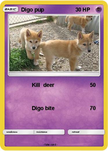 Pokemon Digo pup