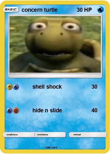 Pokemon concern turtle