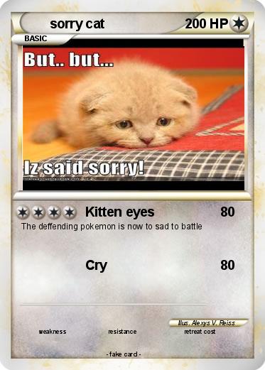 Pokemon sorry cat