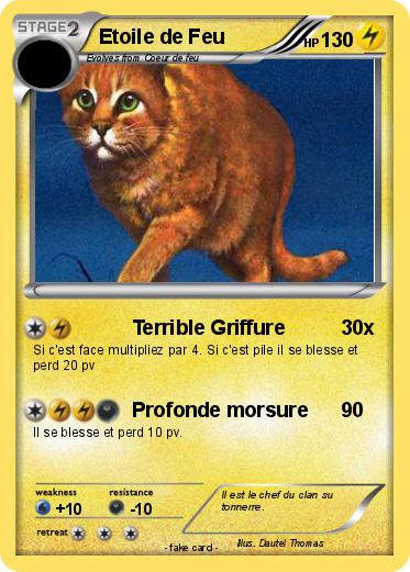 Pokemon Etoile de Feu