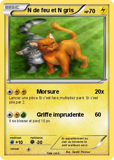 Pokemon N de feu et N gris